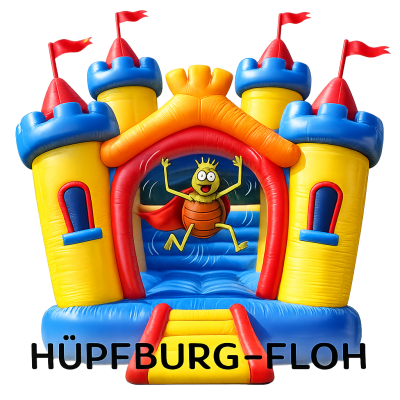 Hüpfburg , mieten , in , der , Nähe , kindergeburtstag , spiel , Rutsche , Hochzeit, bestellen , zuhause , Vermietung , Verleih